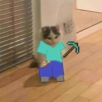 BuddyWinte avatar